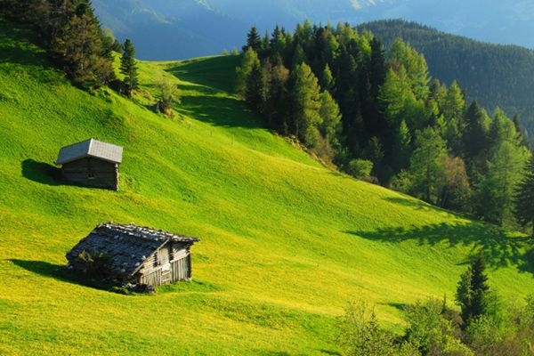 mayrhofen_wandern_wiese_2013_paul-suerth.jpg