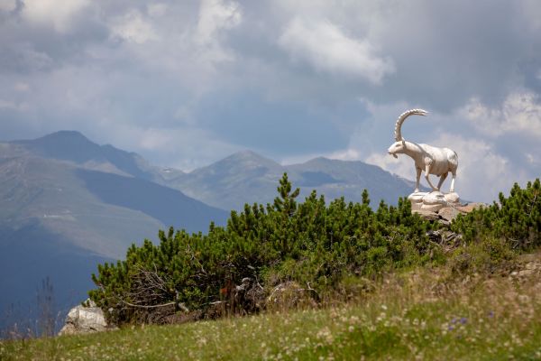 2X4A1029__Ahornhütte_Sommer2018_becknaphoto.jpg