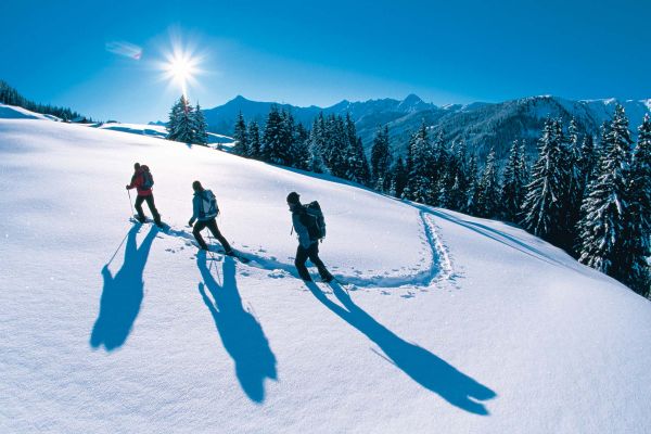 Schneeschuh01.jpg
