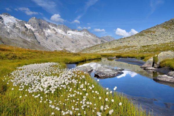 landschaft34-foto-paul-suerth.jpg